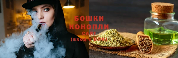 ГАЛЛЮЦИНОГЕННЫЕ ГРИБЫ Вязники